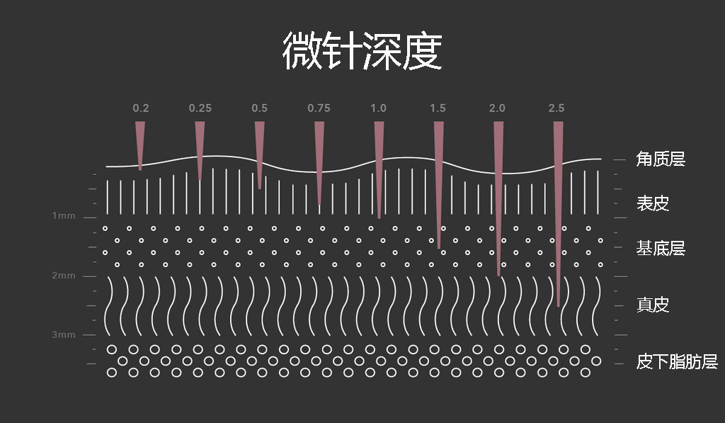 微针的深度