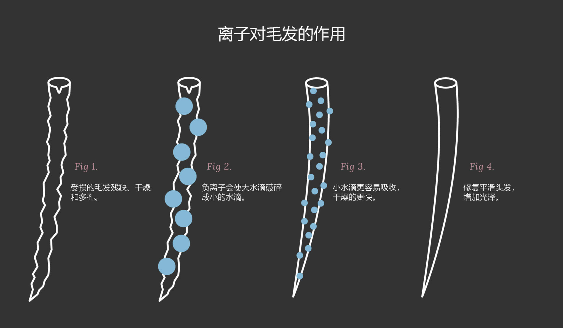 离子对毛发的作用