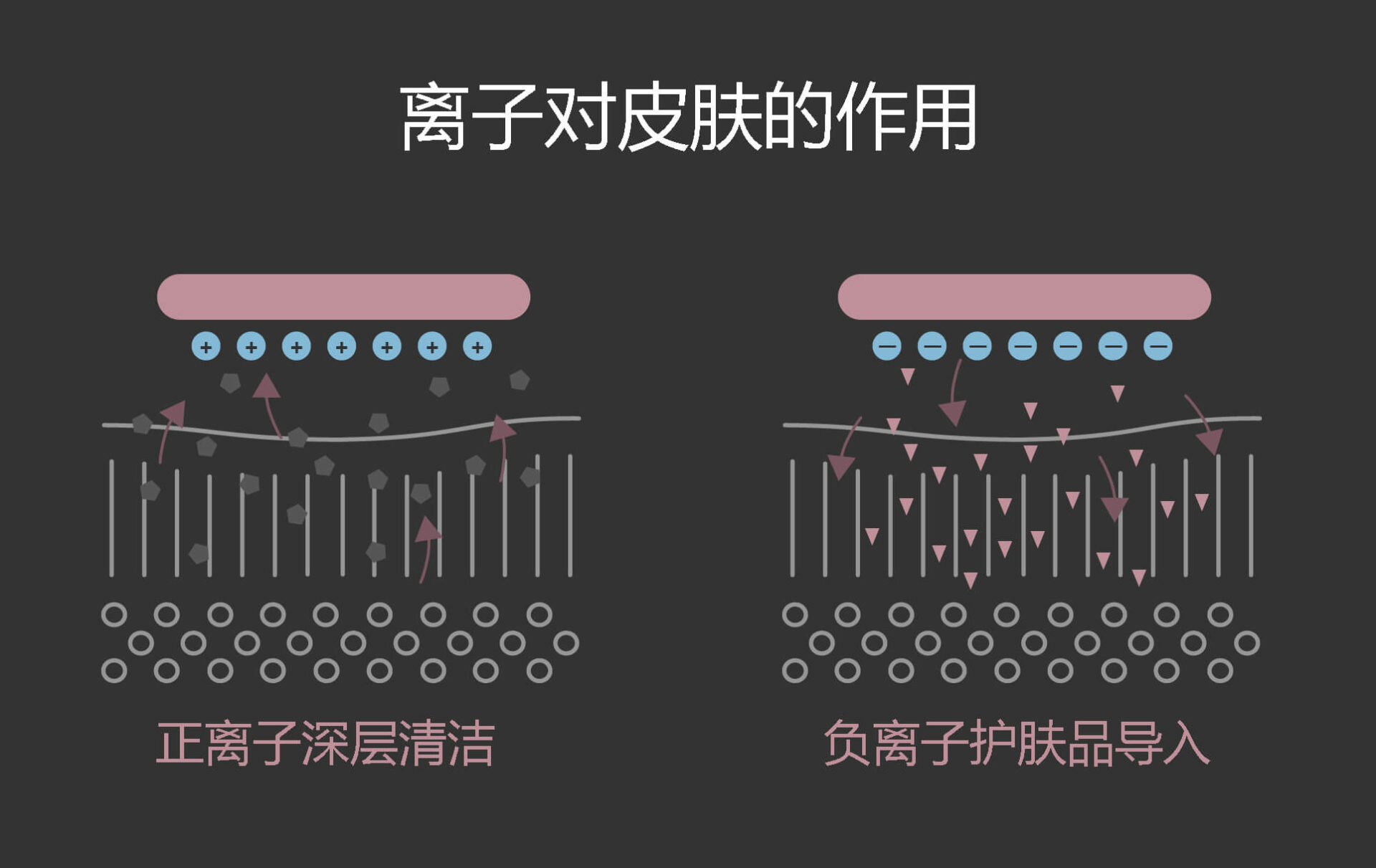 离子对皮肤的作用