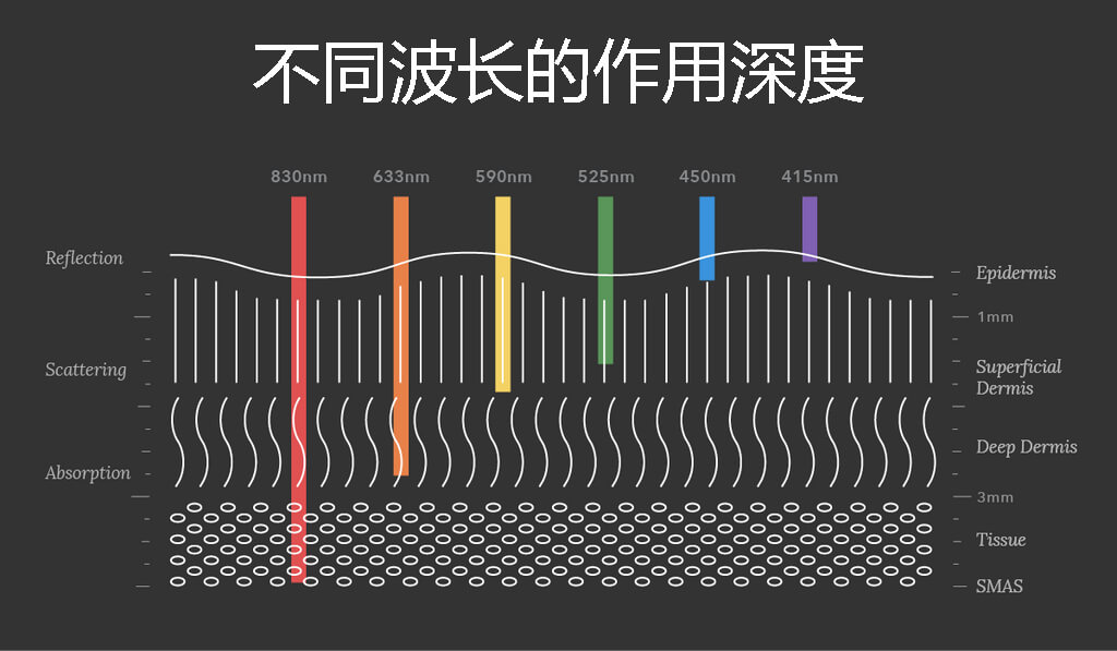 不同波长的作用深度