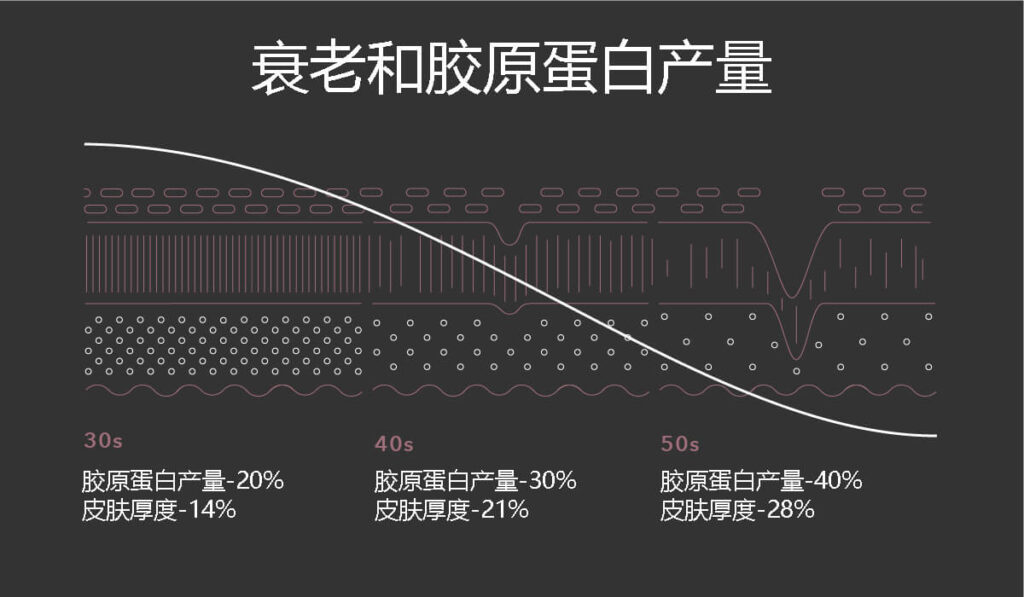 衰老和蛋白质产量的关系